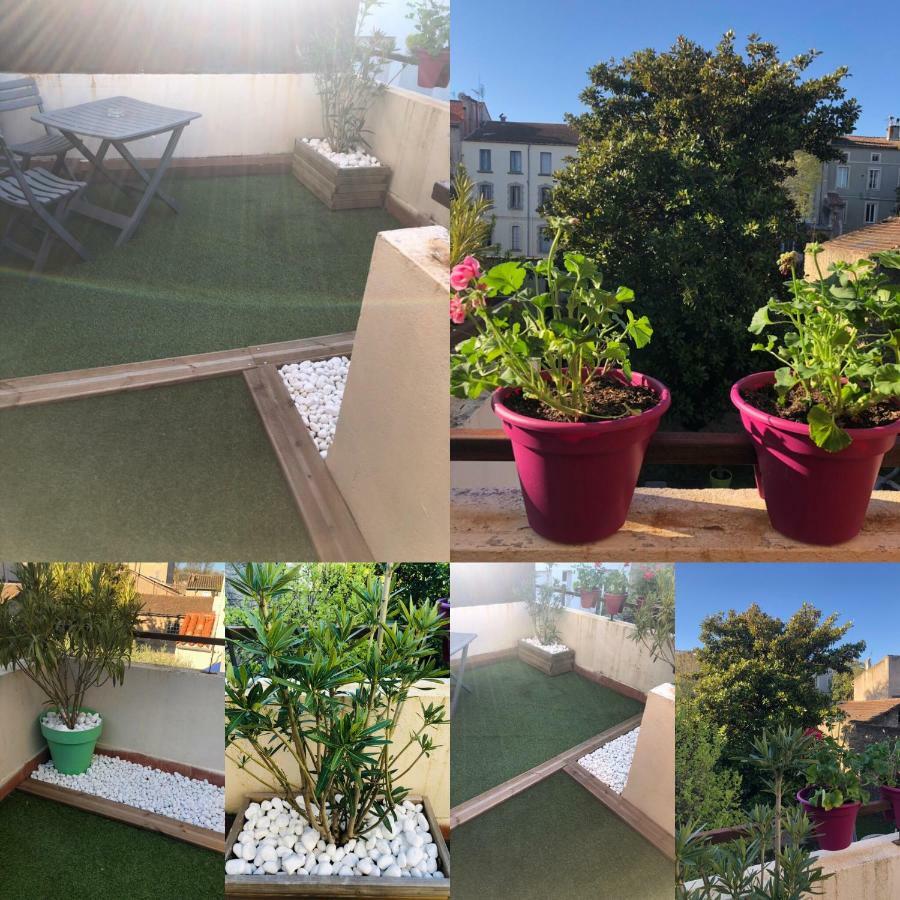 B&B - Le Jardin Du Palais Carcassonne Zewnętrze zdjęcie
