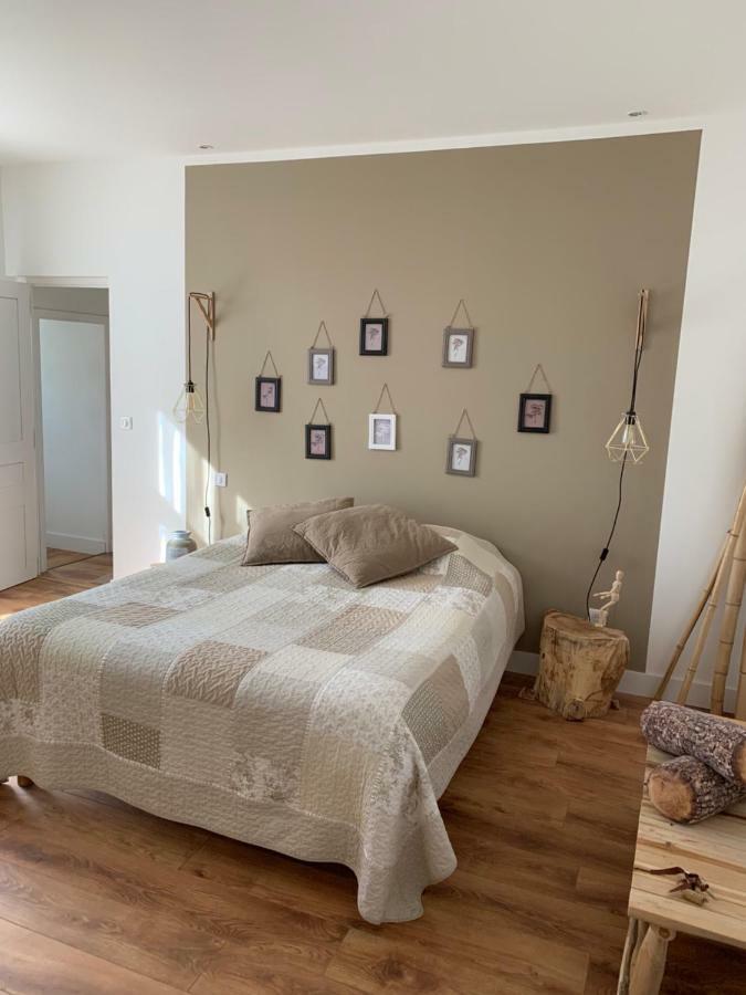 B&B - Le Jardin Du Palais Carcassonne Zewnętrze zdjęcie